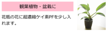 ケイ素の使用方法観葉植物に.png