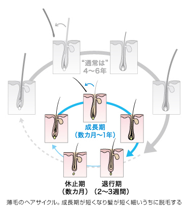 ヘアサイクル.jpg