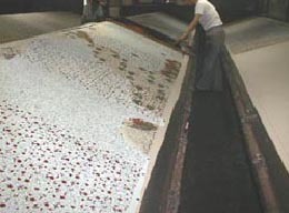 京友禅染め6.jpg