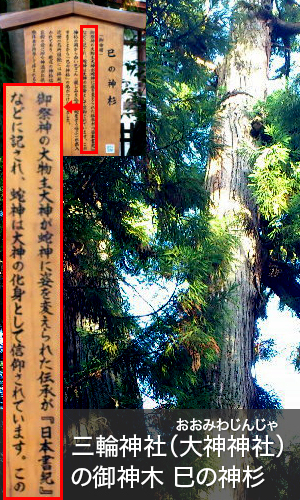 大神神社.jpg