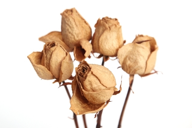 薔薇のドライフラワー.jpg